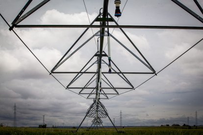 El Canal de regadío de Almazán cumple 50 años. - MARIO TEJEDOR