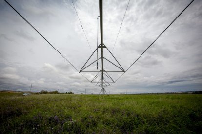 El Canal de regadío de Almazán cumple 50 años. - MARIO TEJEDOR