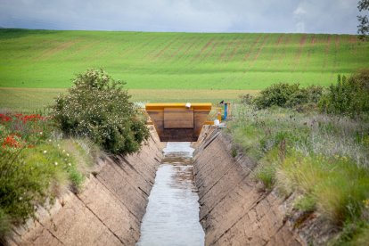 El Canal de regadío de Almazán cumple 50 años. - MARIO TEJEDOR