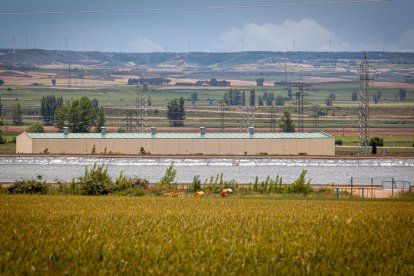 El Canal de regadío de Almazán cumple 50 años. - MARIO TEJEDOR