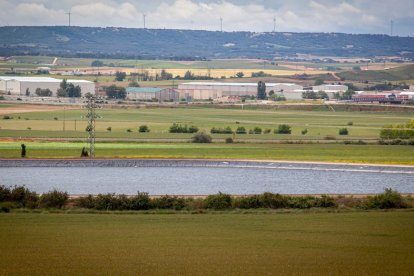 El Canal de regadío de Almazán cumple 50 años. - MARIO TEJEDOR