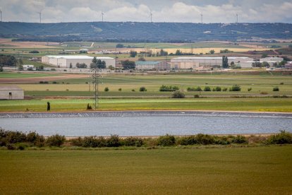 El Canal de regadío de Almazán cumple 50 años. - MARIO TEJEDOR