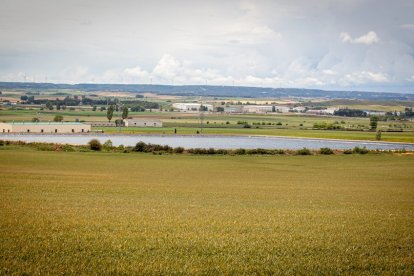 El Canal de regadío de Almazán cumple 50 años. - MARIO TEJEDOR