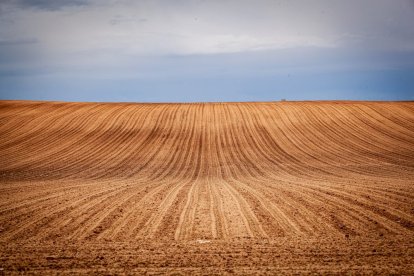 El Canal de regadío de Almazán cumple 50 años. - MARIO TEJEDOR