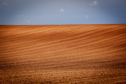 El Canal de regadío de Almazán cumple 50 años. - MARIO TEJEDOR