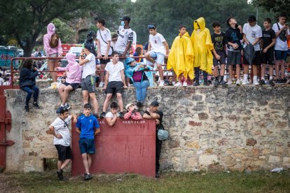 Lavalenguas de San Juan 2022. GONZALO MONTESEGURO