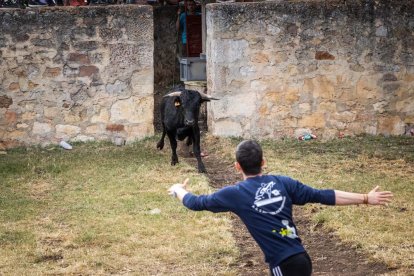 Lavalenguas de San Juan 2022. GONZALO MONTESEGURO