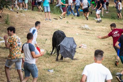 Lavalenguas de San Juan 2022. GONZALO MONTESEGURO
