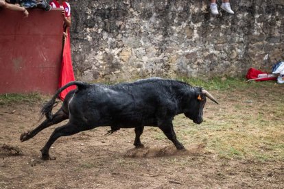 Lavalenguas de San Juan 2022. GONZALO MONTESEGURO
