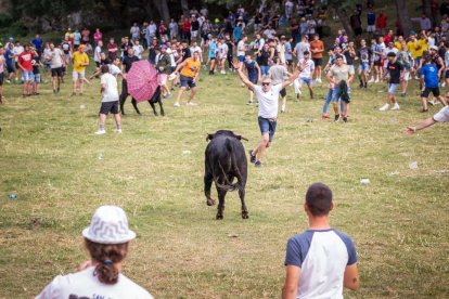 Lavalenguas de San Juan 2022. GONZALO MONTESEGURO