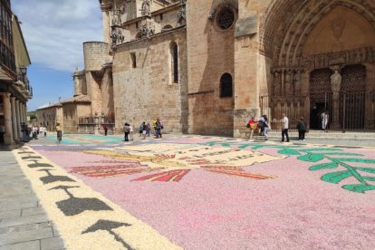 Alfombras florales en El Burgo de Osma en el Corpus 2023.-ANA HERNANDO