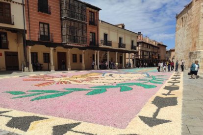 Alfombras florales en El Burgo de Osma en el Corpus 2023.-ANA HERNANDO