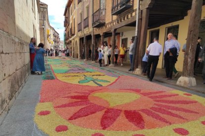 Alfombras florales en El Burgo de Osma en el Corpus 2023.-ANA HERNANDO