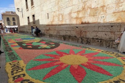 Alfombras florales en El Burgo de Osma en el Corpus 2023.-ANA HERNANDO