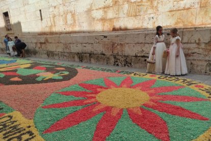 Alfombras florales en El Burgo de Osma en el Corpus 2023.-ANA HERNANDO
