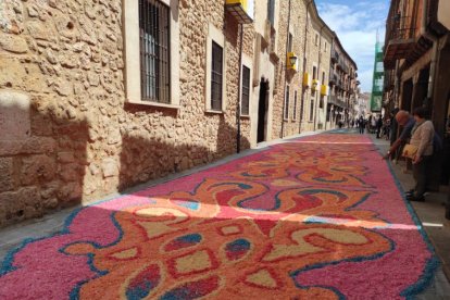 Alfombras florales en El Burgo de Osma en el Corpus 2023.-ANA HERNANDO