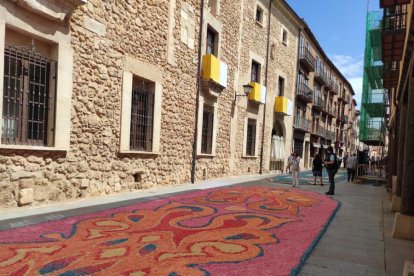 Alfombras florales en El Burgo de Osma en el Corpus 2023.-ANA HERNANDO