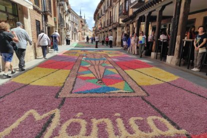 Alfombras florales en El Burgo de Osma en el Corpus 2023.-ANA HERNANDO