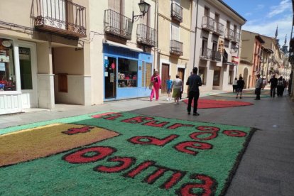 Alfombras florales en El Burgo de Osma en el Corpus 2023.-ANA HERNANDO