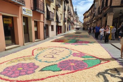 Alfombras florales en El Burgo de Osma en el Corpus 2023.-ANA HERNANDO
