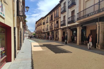 Alfombras florales en El Burgo de Osma en el Corpus 2023.-ANA HERNANDO