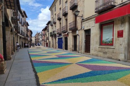 Alfombras florales en El Burgo de Osma en el Corpus 2023.-ANA HERNANDO