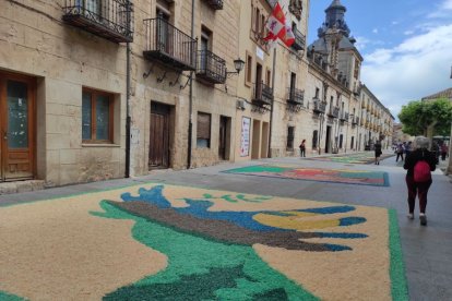 Alfombras florales en El Burgo de Osma en el Corpus 2023.-ANA HERNANDO