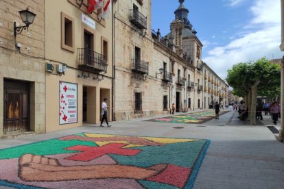 Alfombras florales en El Burgo de Osma en el Corpus 2023.-ANA HERNANDO