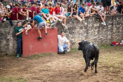 Lavalenguas de San Juan 2022. GONZALO MONTESEGURO