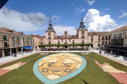 Alfombras florales en El Burgo de Osma en el Corpus 2023.-ANA HERNANDO
