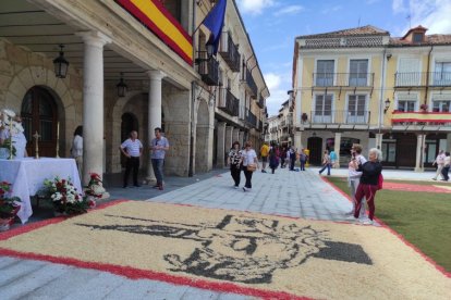 Alfombras florales en El Burgo de Osma en el Corpus 2023.-ANA HERNANDO