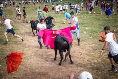 Lavalenguas de San Juan 2022. GONZALO MONTESEGURO