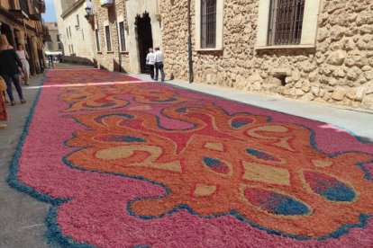 Alfombras florales en El Burgo de Osma en el Corpus 2023.-ANA HERNANDO