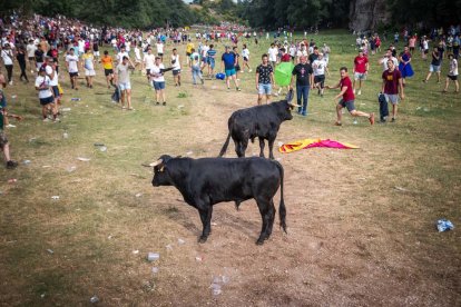 Lavalenguas de San Juan 2022. GONZALO MONTESEGURO