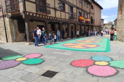 Alfombras florales en El Burgo de Osma en el Corpus 2023.-ANA HERNANDO