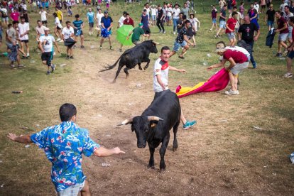 Lavalenguas de San Juan 2022. GONZALO MONTESEGURO