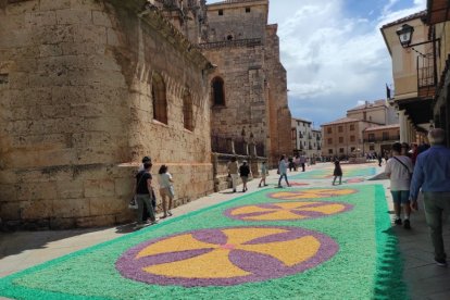 Alfombras florales en El Burgo de Osma en el Corpus 2023.-ANA HERNANDO