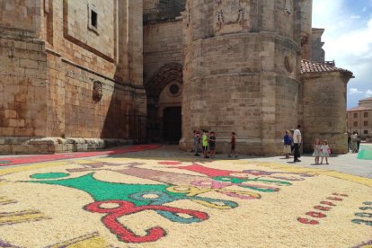 Alfombras florales en El Burgo de Osma en el Corpus 2023.-ANA HERNANDO