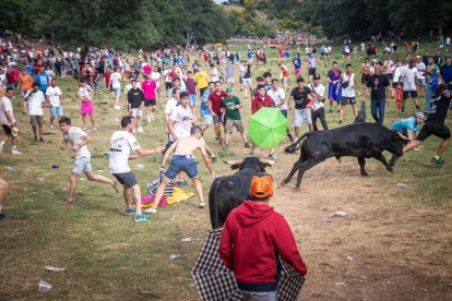 Lavalenguas de San Juan 2022. GONZALO MONTESEGURO