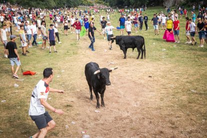 Lavalenguas de San Juan 2022. GONZALO MONTESEGURO