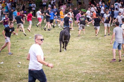 Lavalenguas de San Juan 2022. GONZALO MONTESEGURO