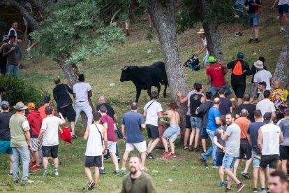 Lavalenguas de San Juan 2022. GONZALO MONTESEGURO