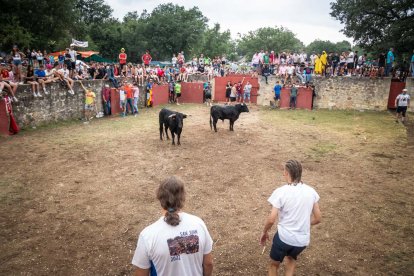 Lavalenguas de San Juan 2022. GONZALO MONTESEGURO