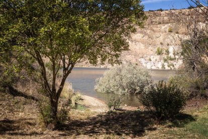 Mina Gandalia de Borobia, ahora laguna y 'parada' de aves acuáticas. GONZALO MONTESEGURO