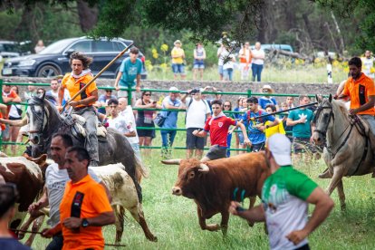 La Saca 2023
