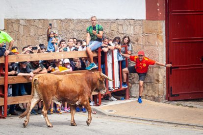 La Saca 2023