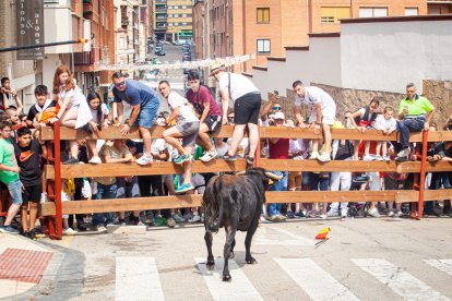 La Saca 2023