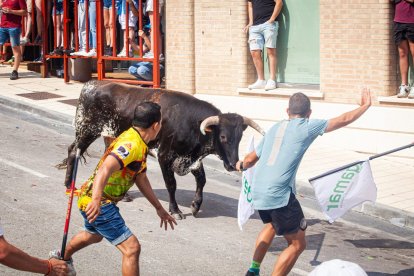 La Saca 2023