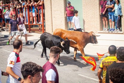 La Saca 2023