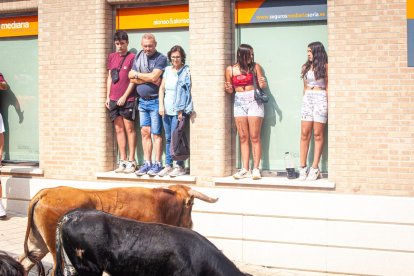 La Saca 2023